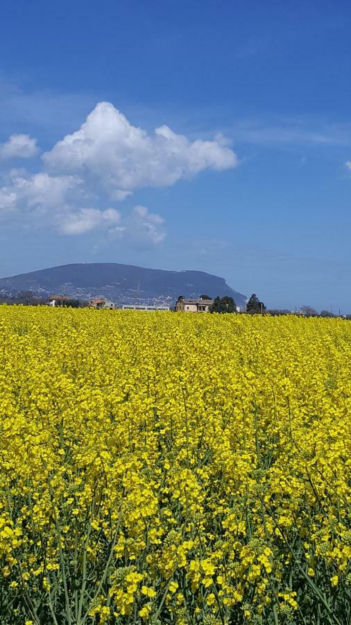 Villetta Del Conero Porto Recanati Kültér fotó