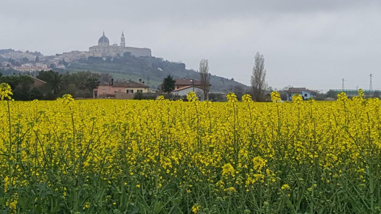 Villetta Del Conero Porto Recanati Kültér fotó